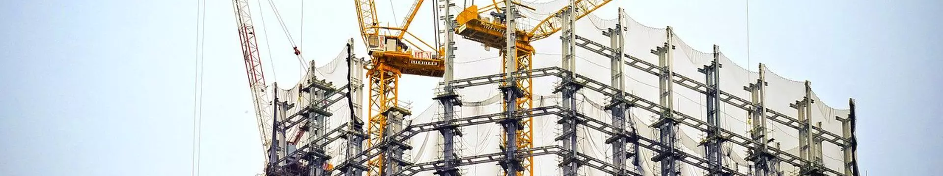 RICS AI Solution